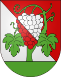 Wappen Gemeinde Bourg-en-Lavaux Kanton Vaud