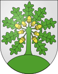 Wappen Gemeinde Montanaire Kanton Vaud